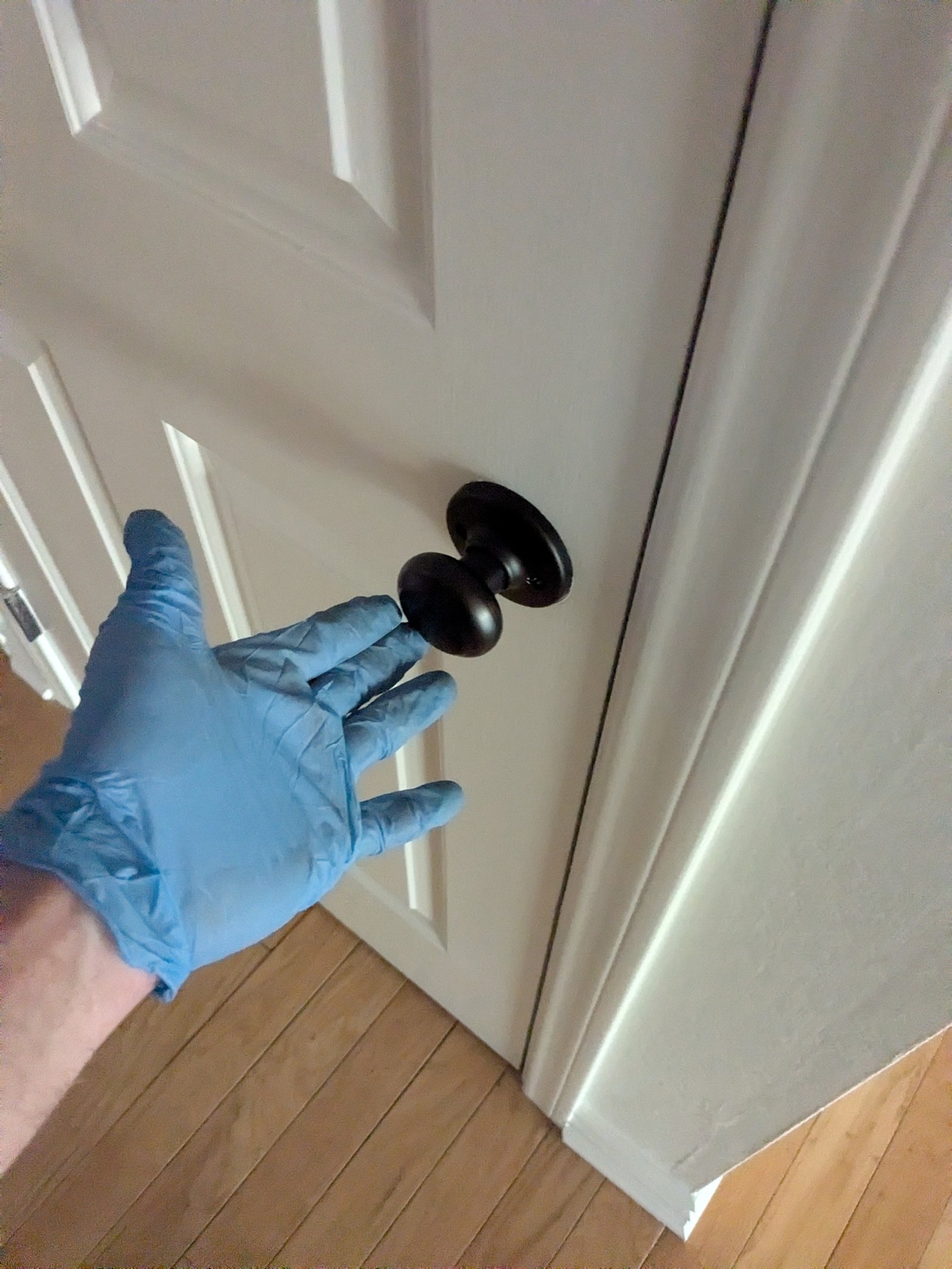 Professional handyman